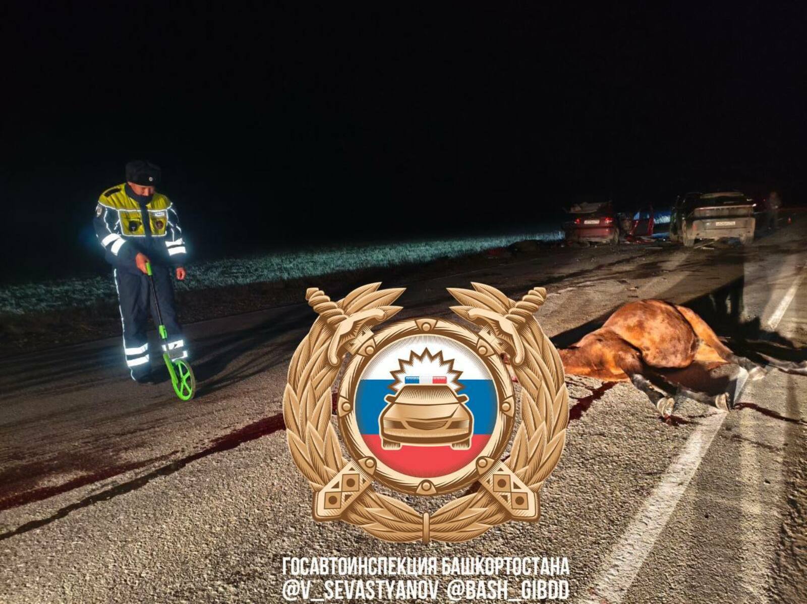 В Башкирии из-за лошади на дороге погибло три человека