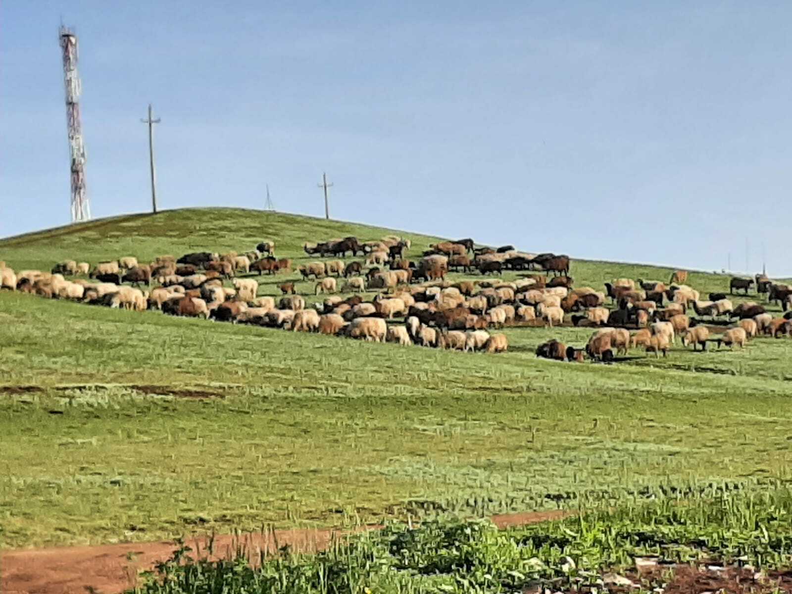 Порно жігіттің аналь массажы Жұлдыз Райли Рид