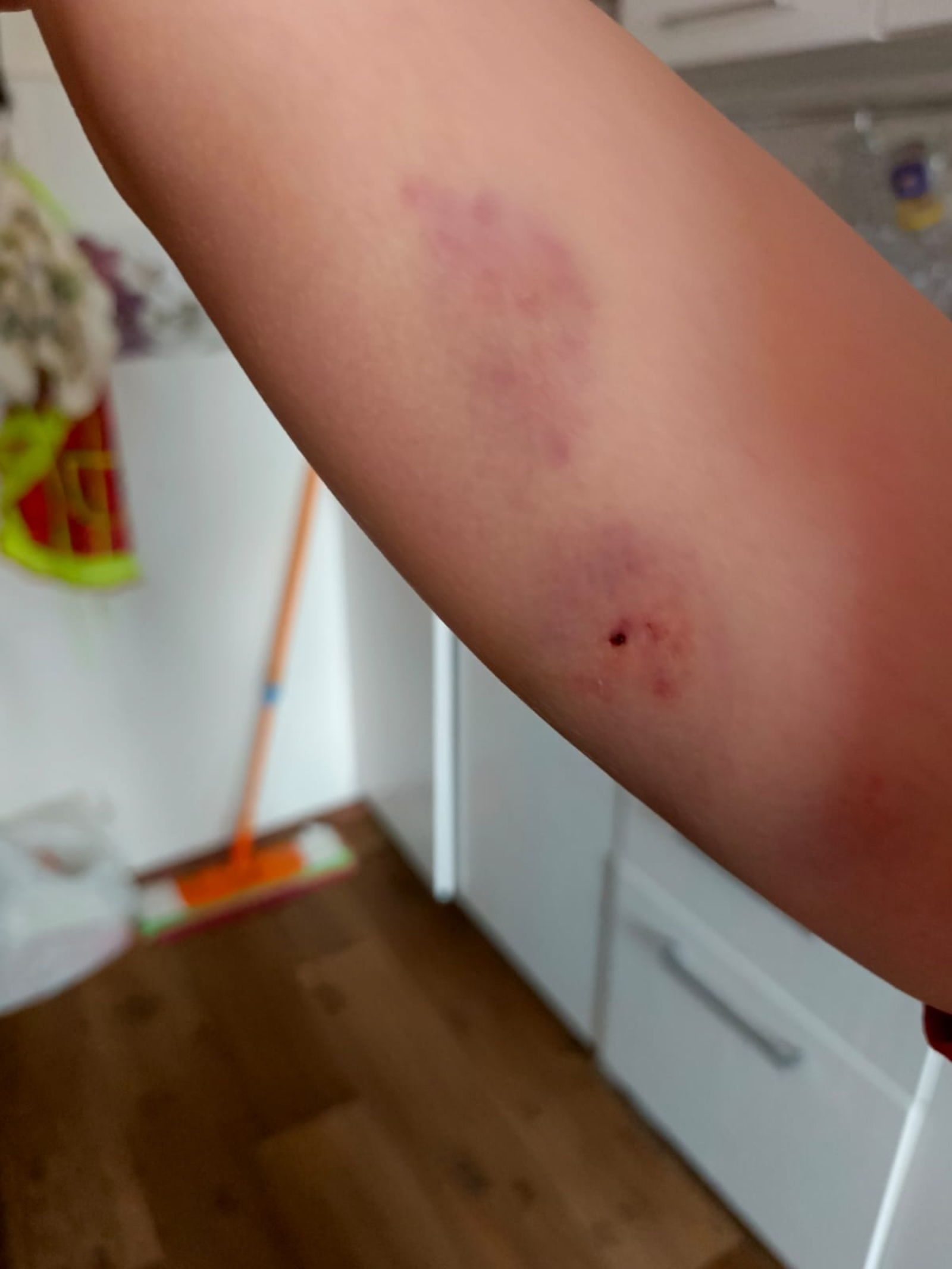 Председатель СК России Александр Бастрыкин взял на контроль