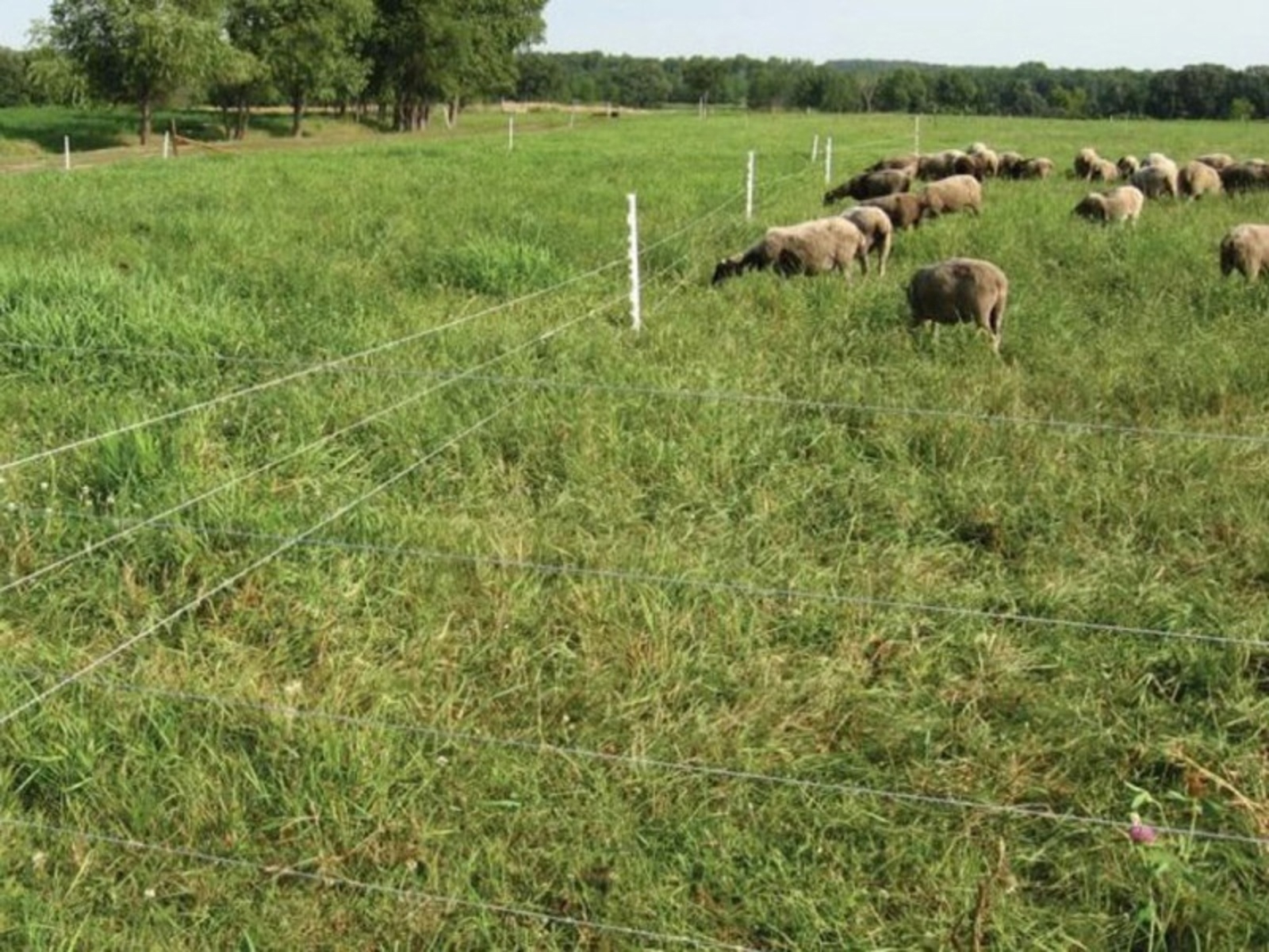 Ҡыҫталһам, ҡайҙа барайым?