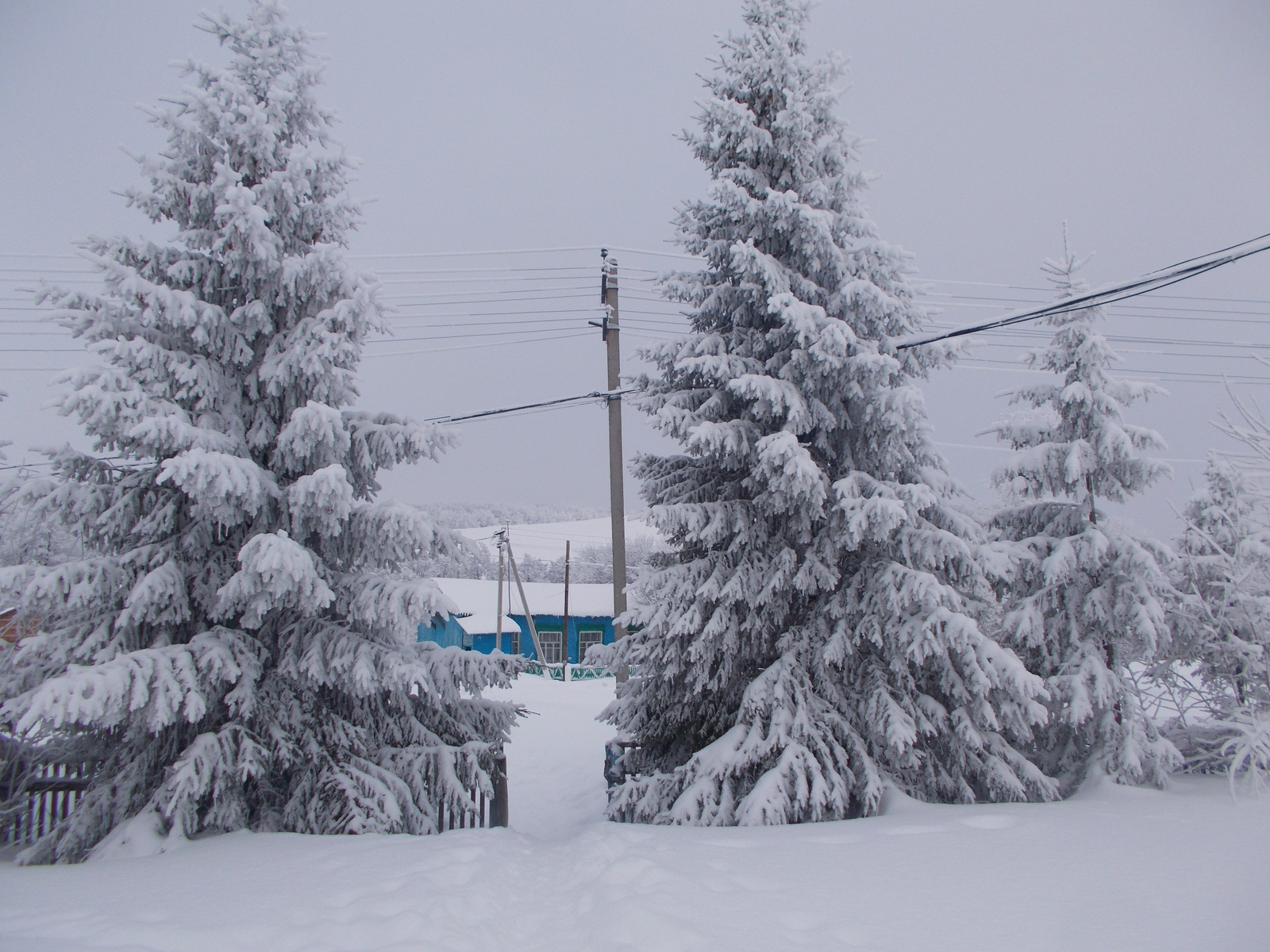В Башкирии продают здание библиотеки с земельным участком