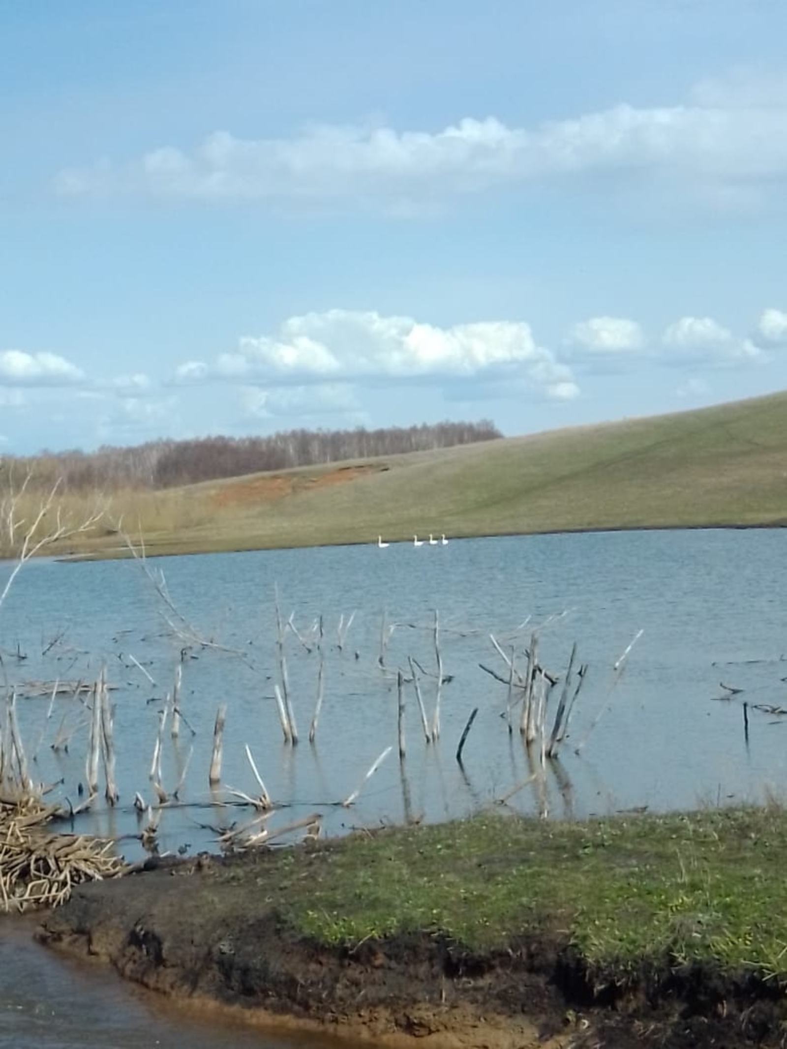 Весна в Башкирии будет аномально ранней и теплой
