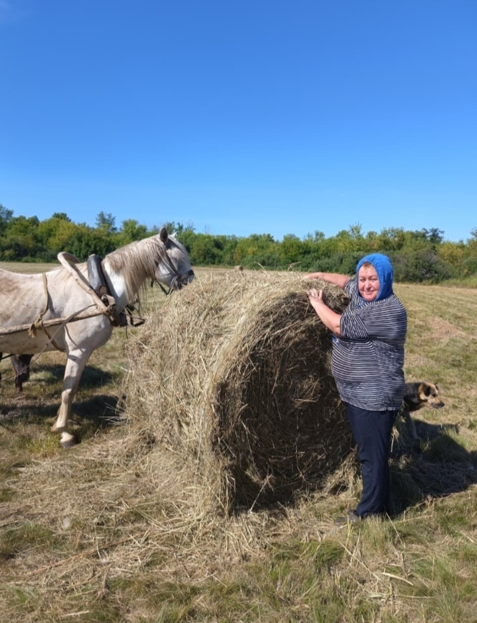 Боҫҡановтарҙың гөрләгән мәле