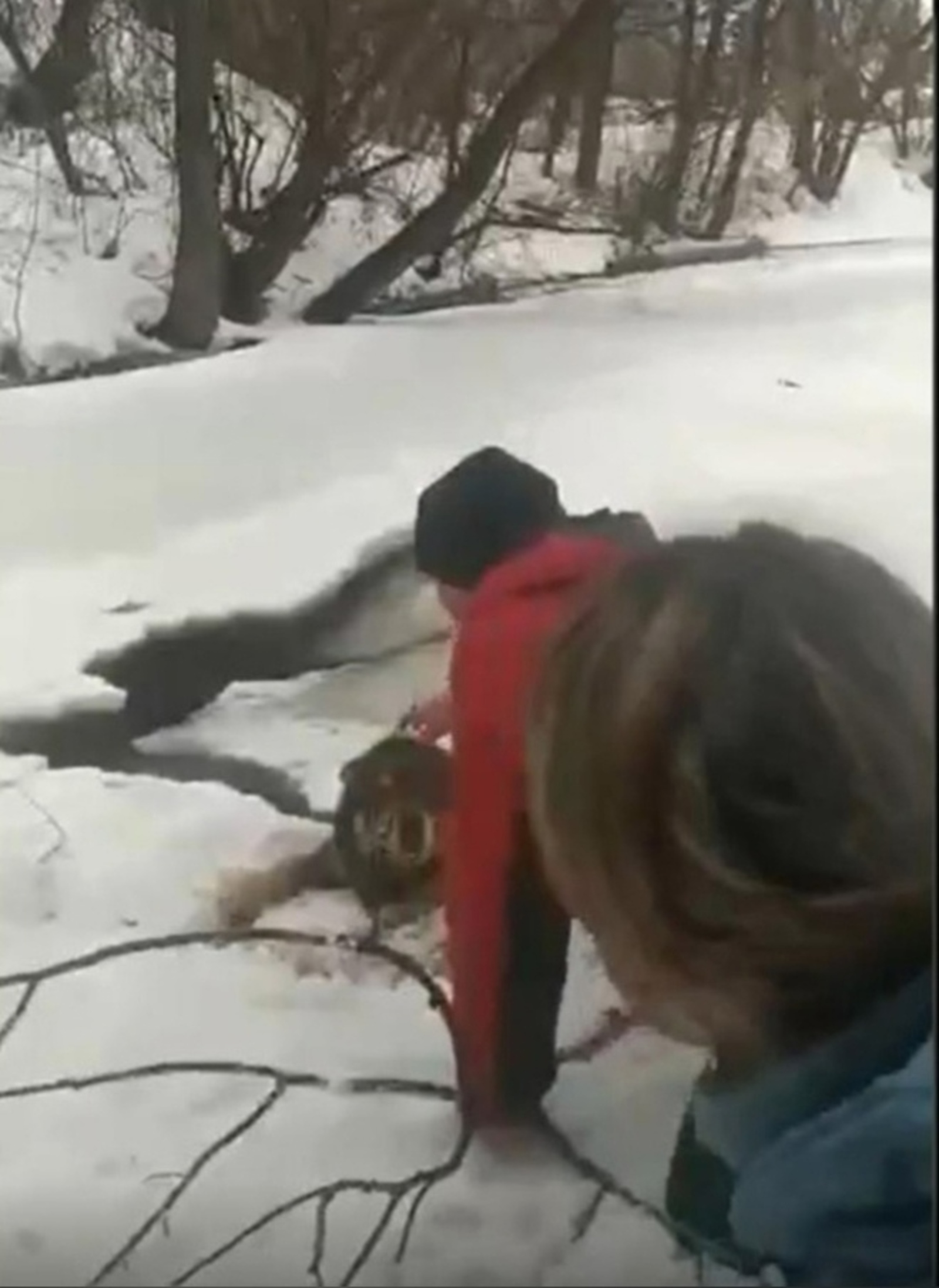 Житель Башкирии спас провалившуюся под лед собаку