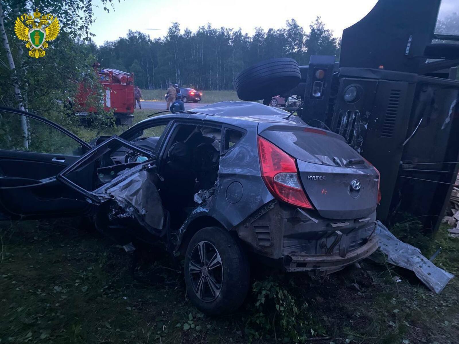 Скончались до приезда скорой медицинской помощи