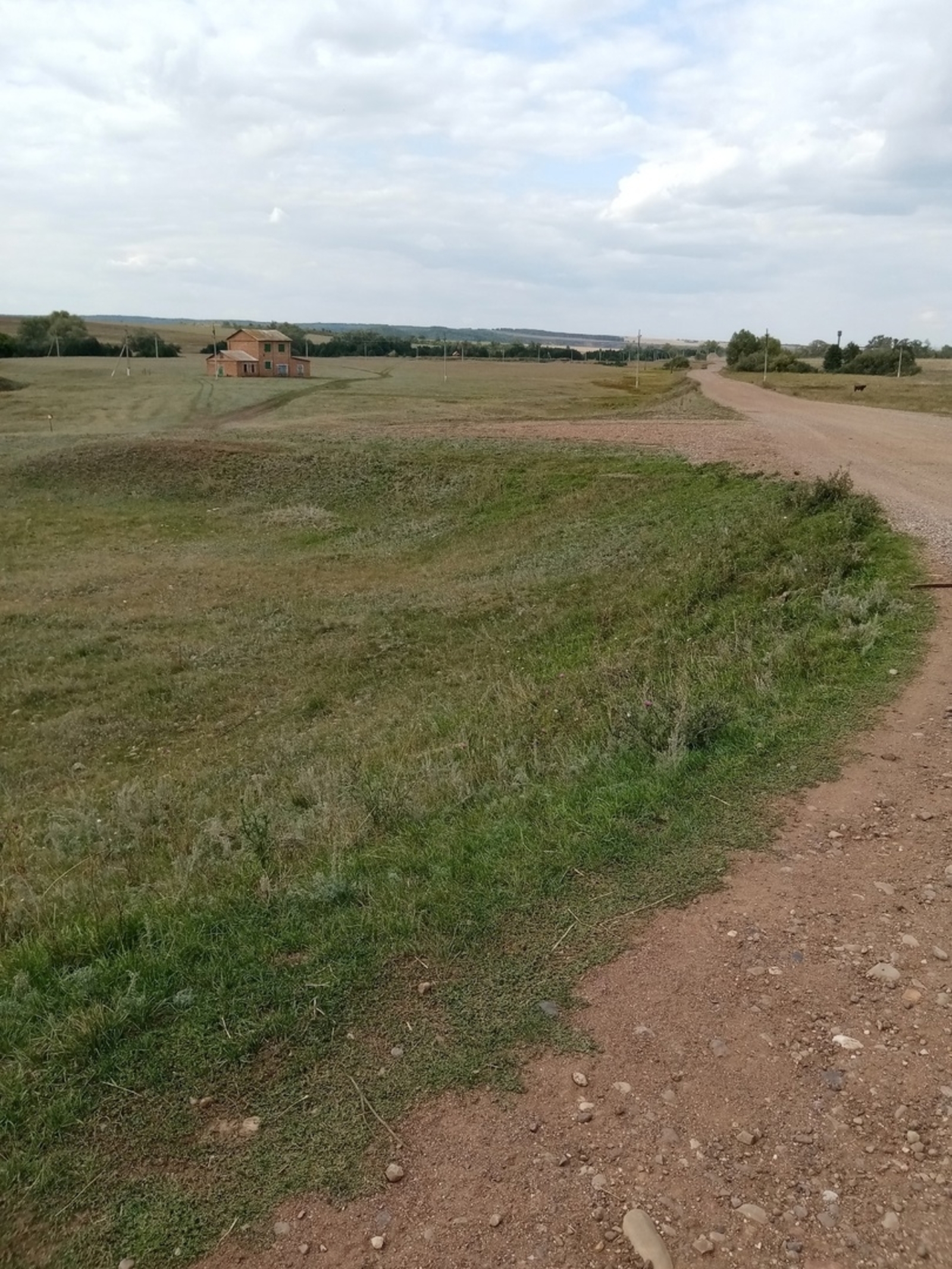 Кемгә тирмән кәрәк?