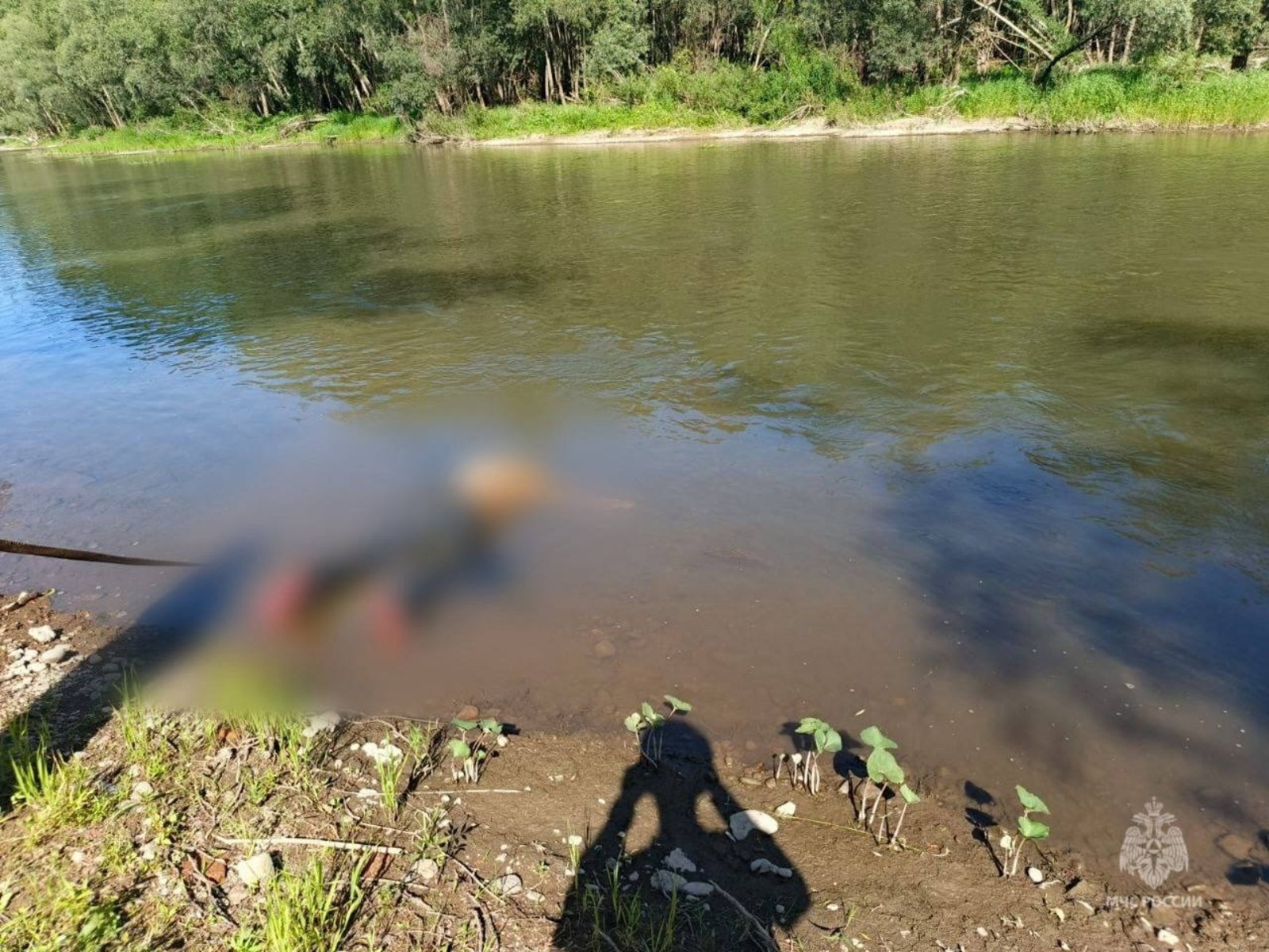 14-летний мальчик, две женщины и четверо мужчин извлечены из воды погибшими