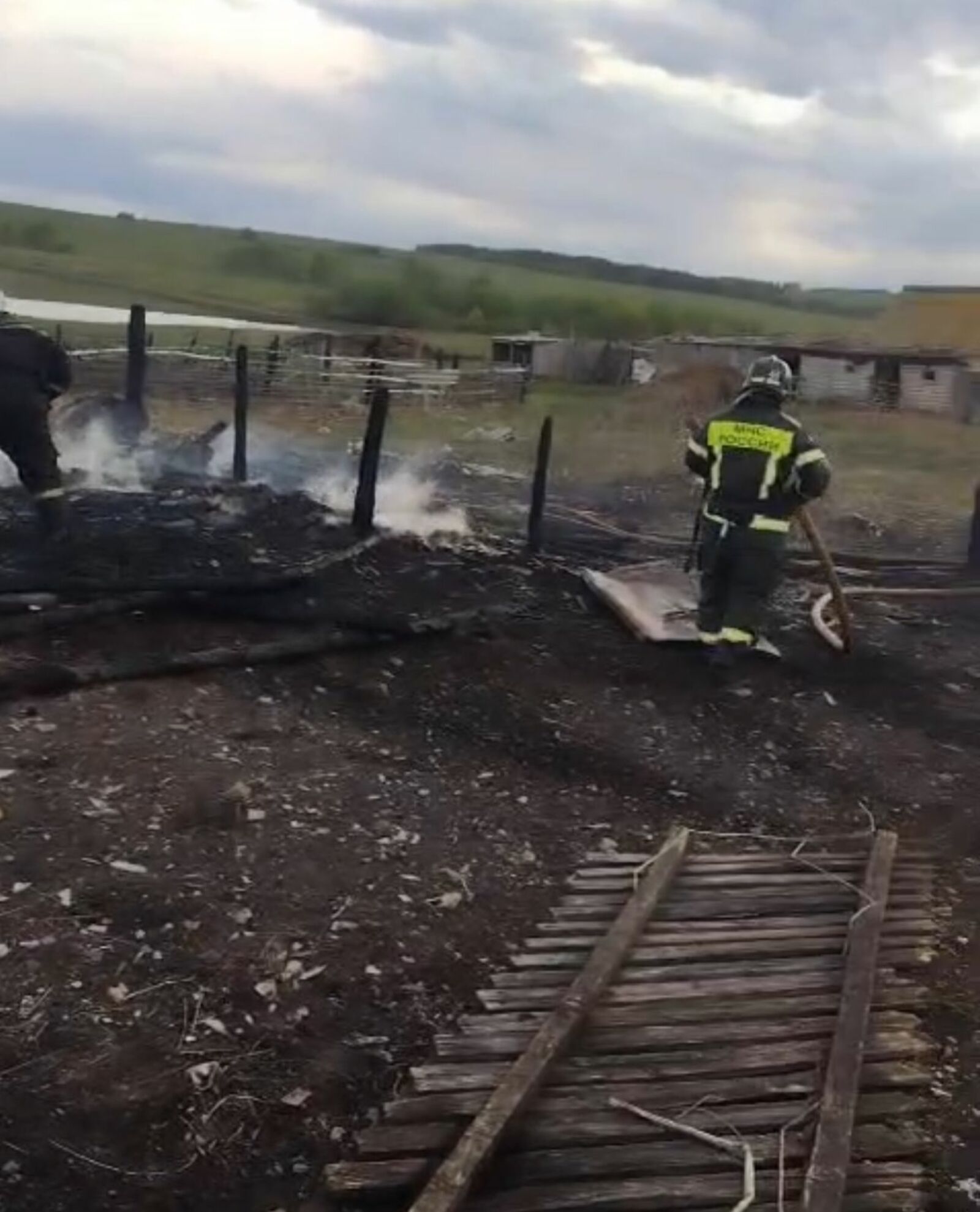 Говорят, что с каждым годом люди становятся всё злее