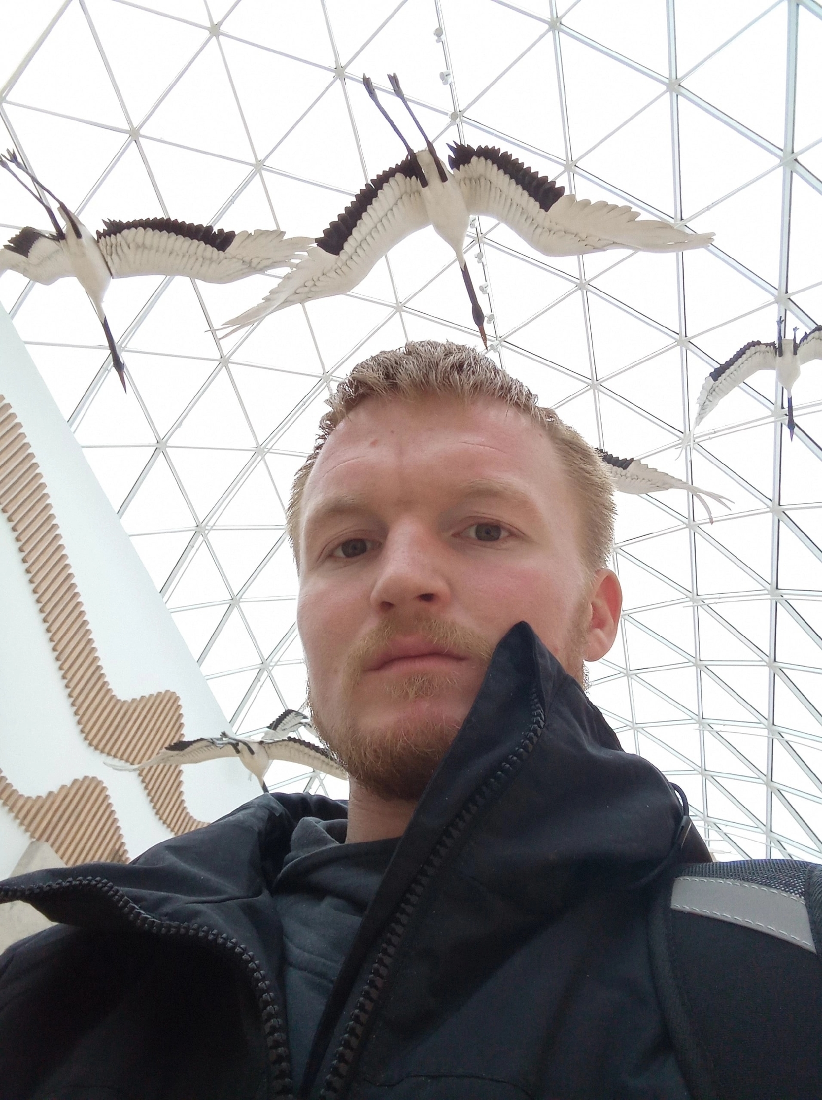 Ғүмерҙәрҙе булмай һатып алып