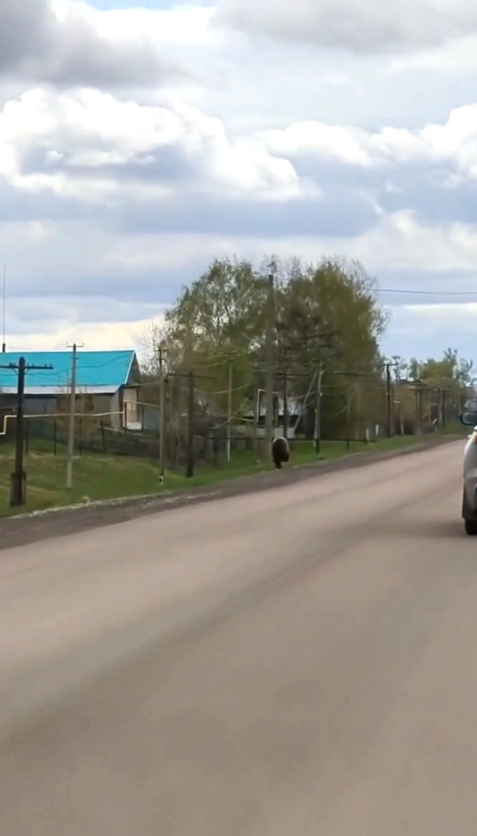 Нисек йәшәйһегеҙ ул һеҙ бында?