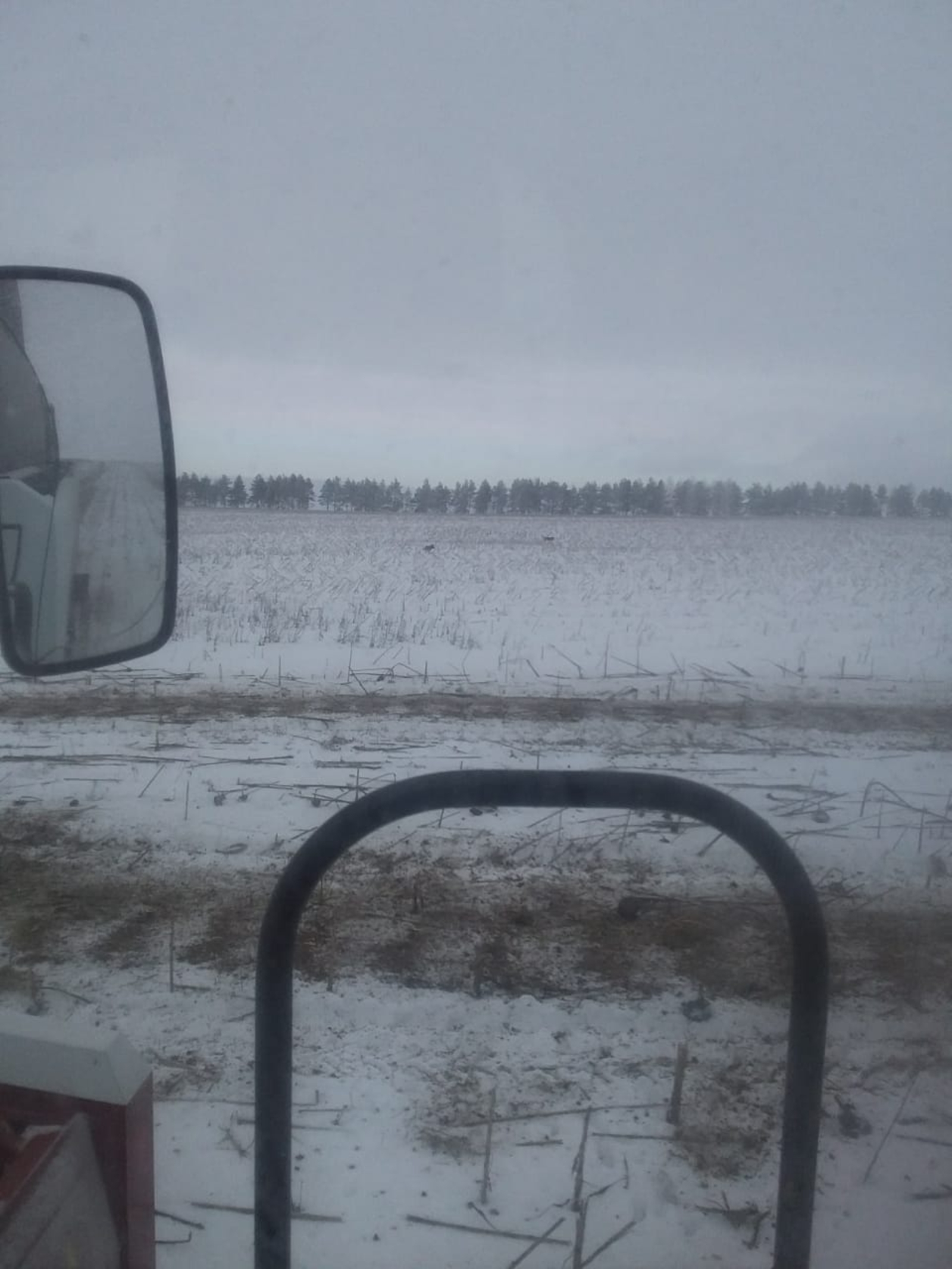 Көйөргәҙе районында биш тиҫтәгә яҡын төлкө юҡ ителгән