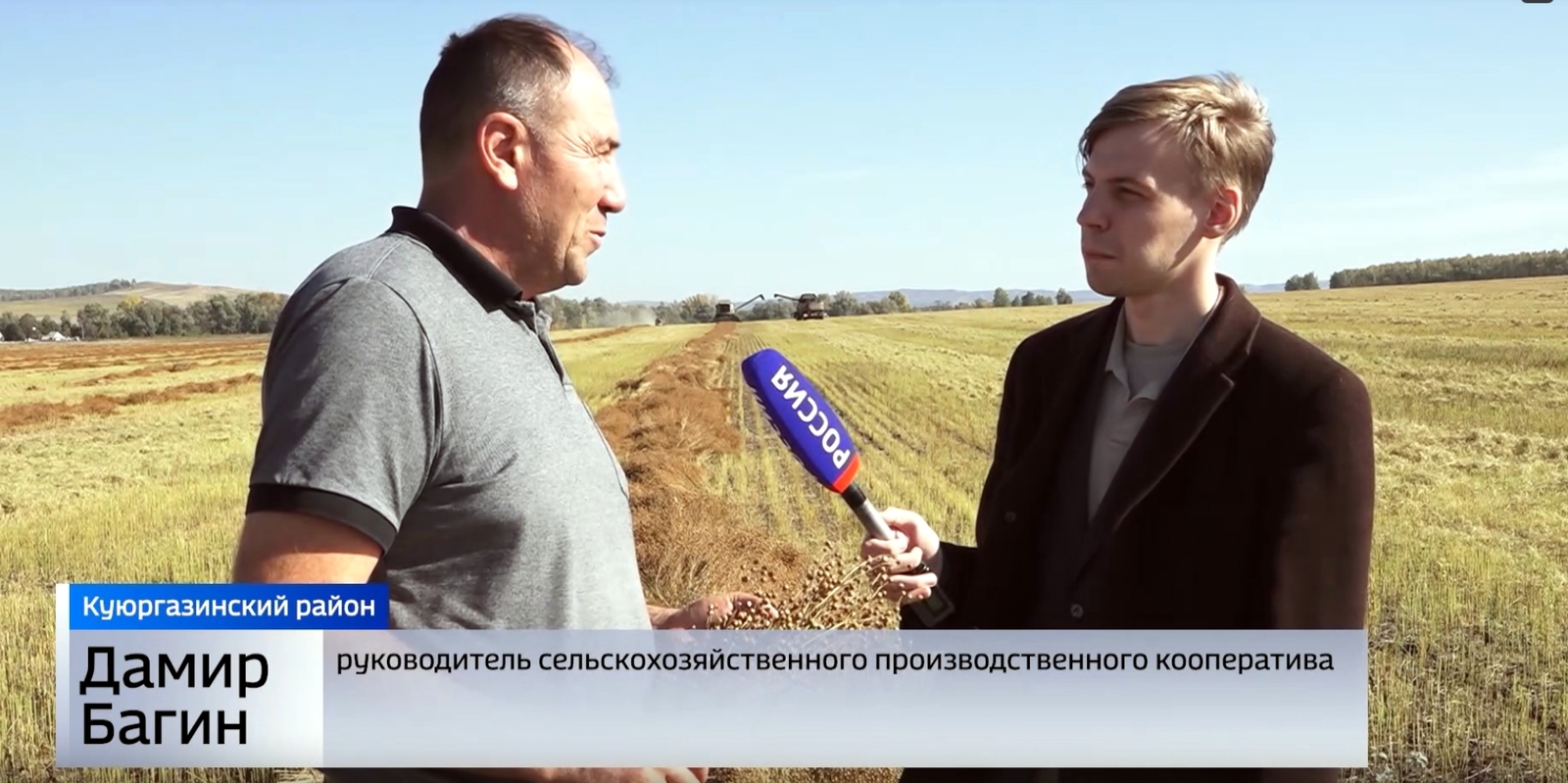 «Вести» выяснили, как идет уборка масличных культур в Куюргазинском районе