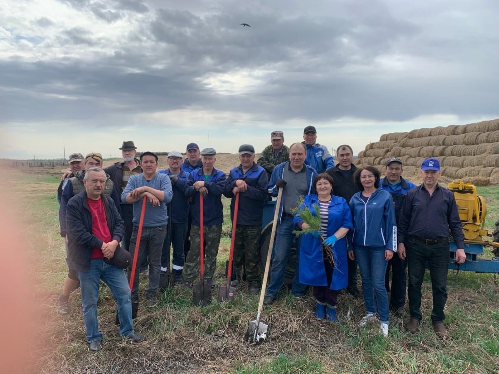 Каждое дерево — это символ жизни