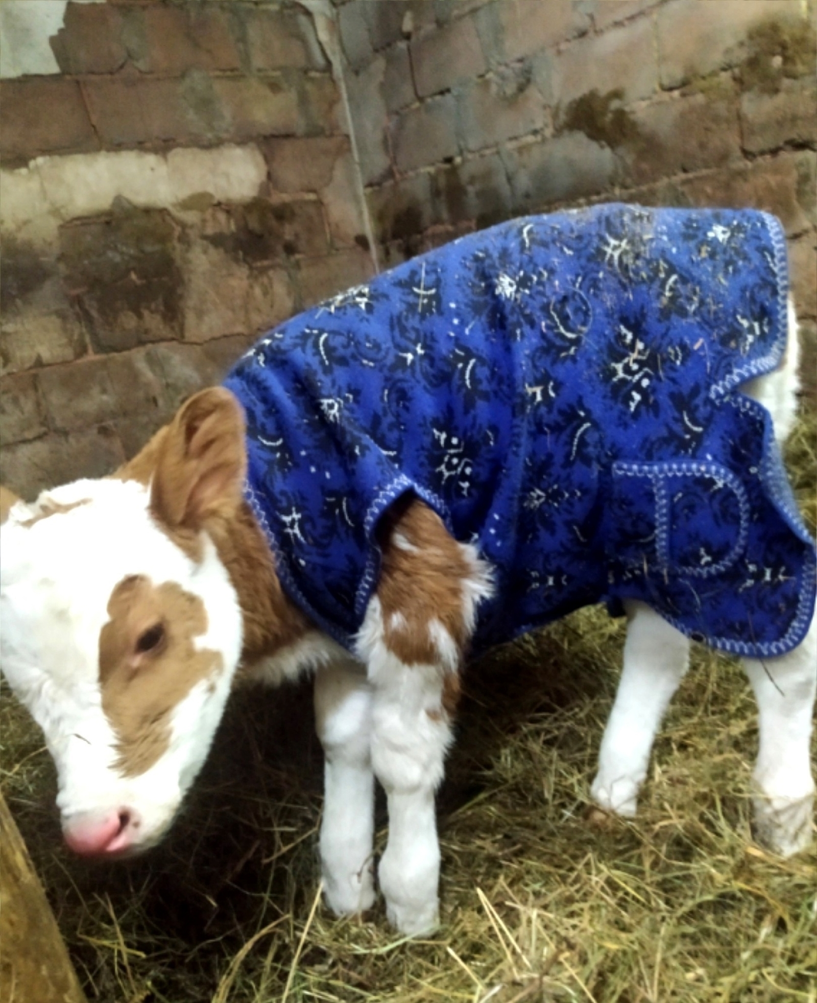 Похолодание до минус двенадцати ожидается в Башкирии