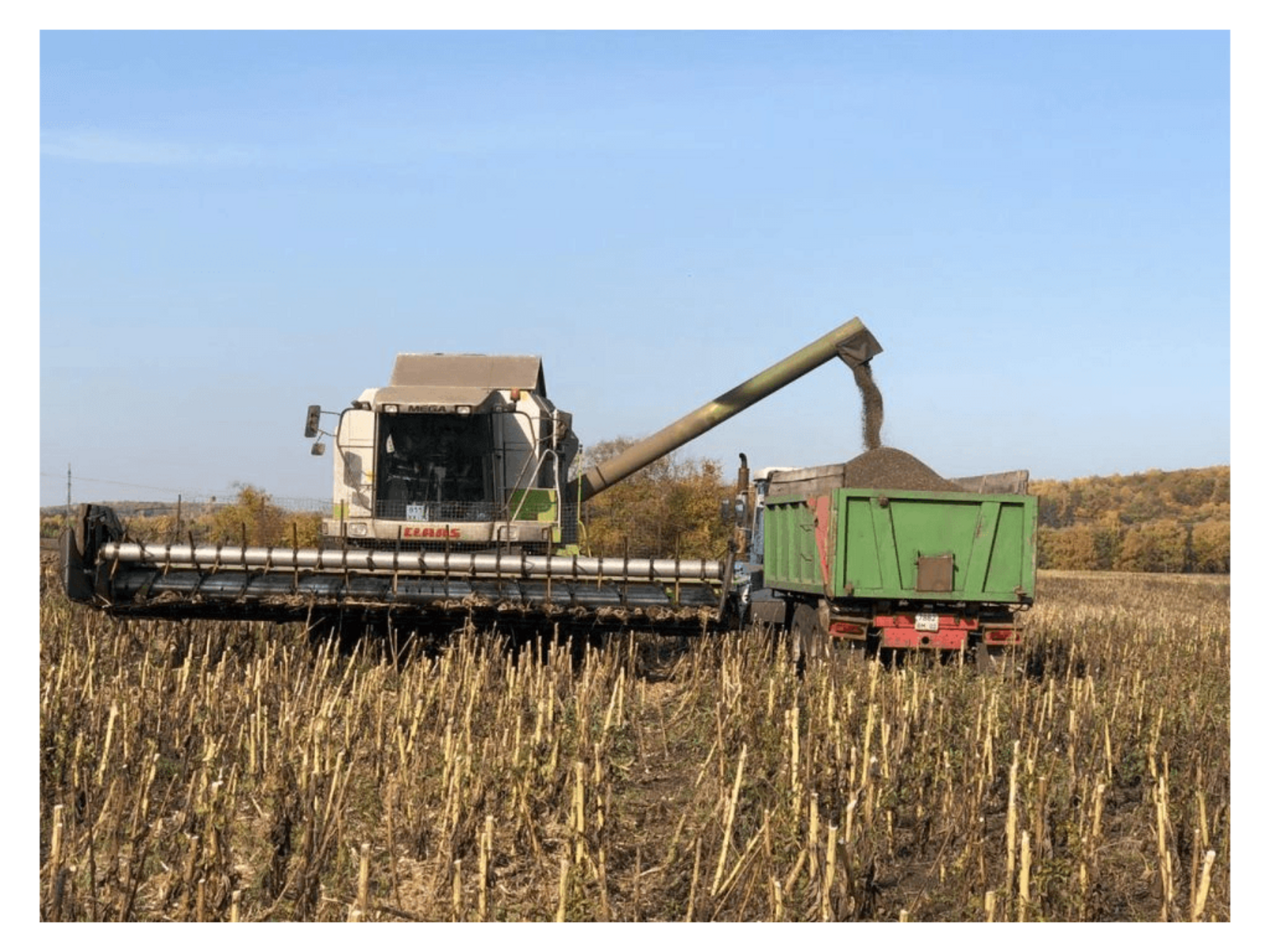 В Башкортостане собрали почти 250 тысяч тонн маслосемян подсолнечника