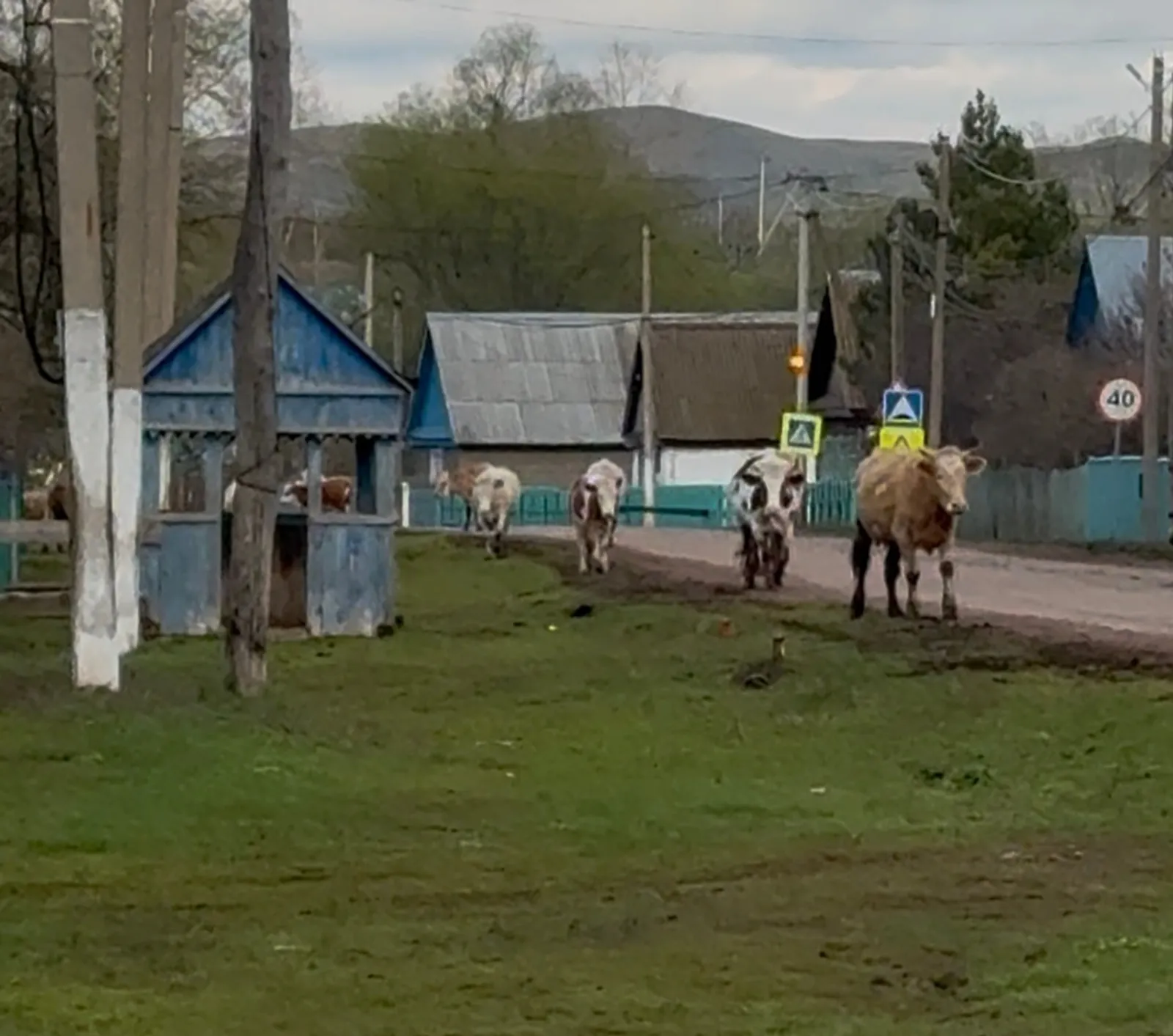 Кемдә нисек – беҙҙә шулай