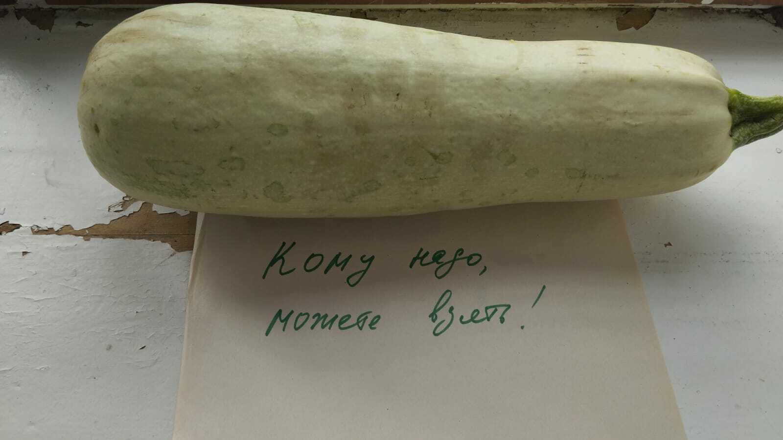 Буштың атаһы үлмәгән