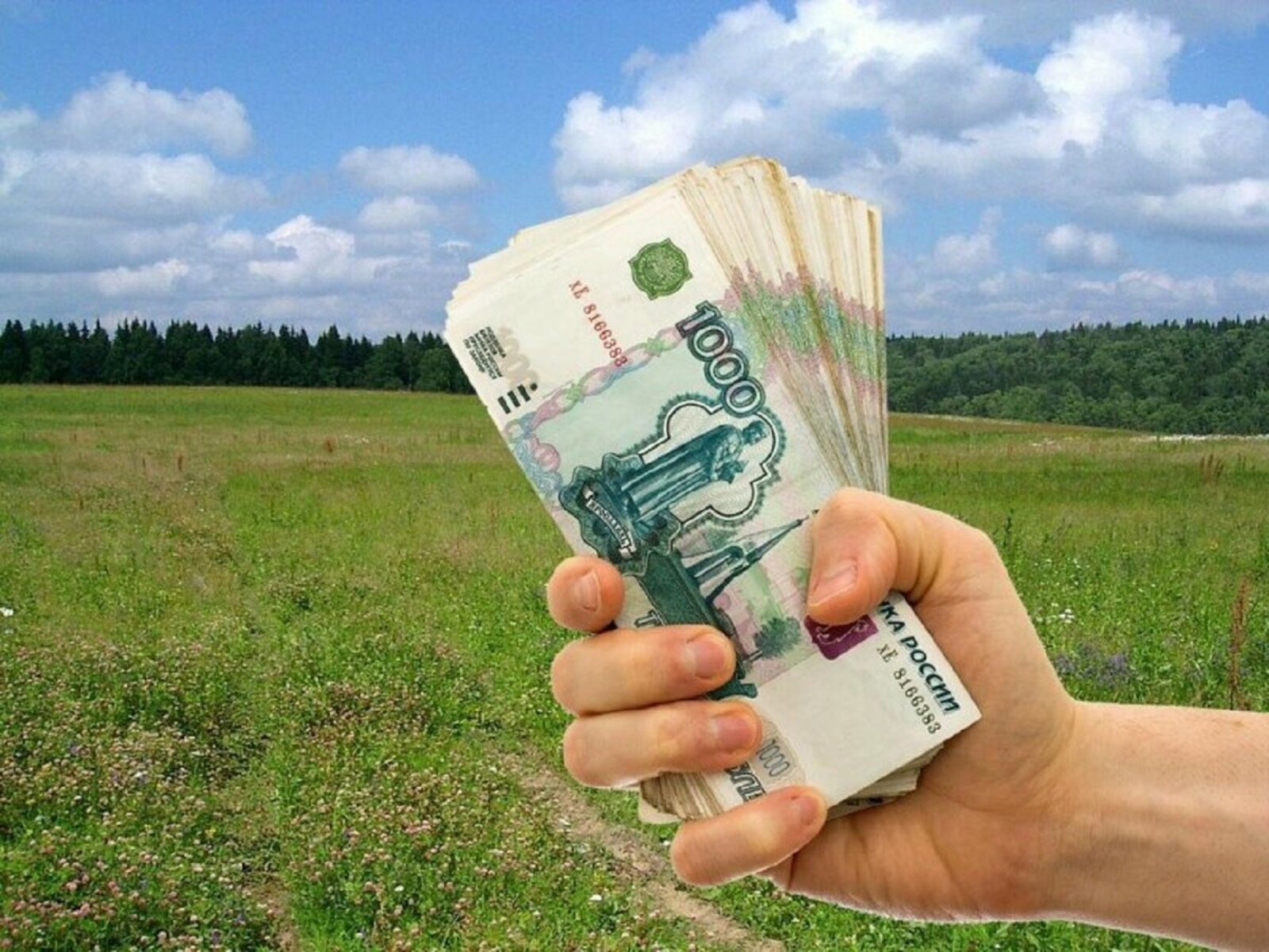 В Башкирии на компенсации многодетным вместо земли необходимо ₽3,5 млрд