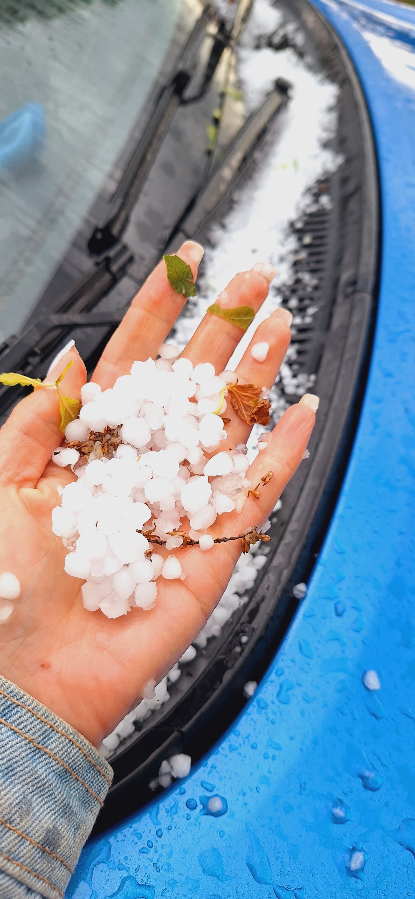 Бына һиңә йәй!