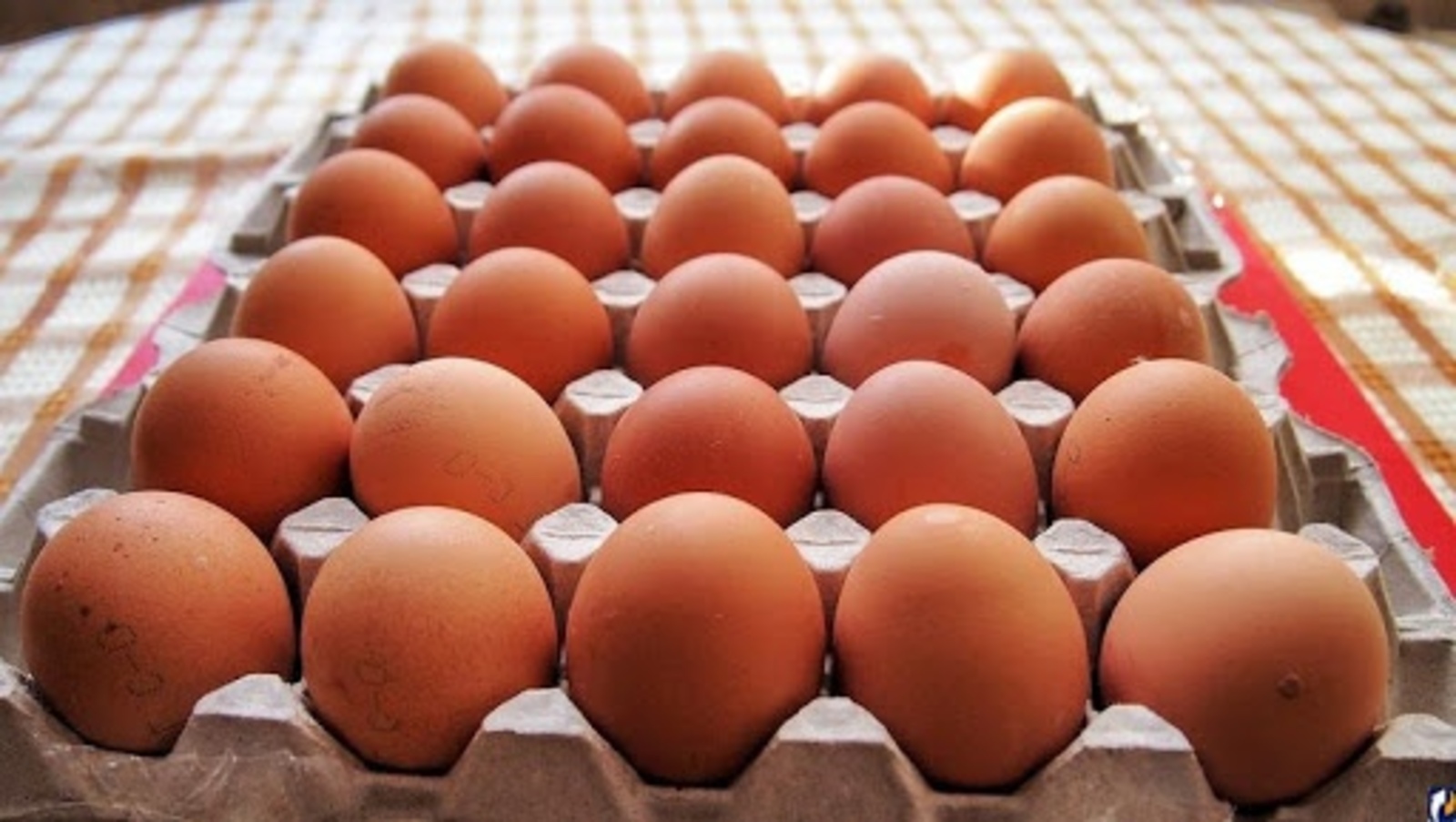 УФАС Башкирии потребовало от «Пятерочки» снизить цены на куриные яйца