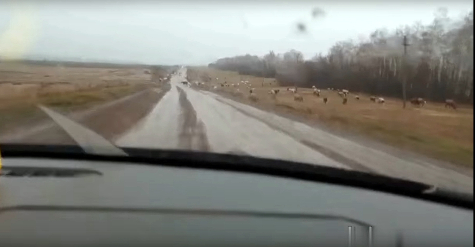 Погода в Башкирии вновь сильно изменится