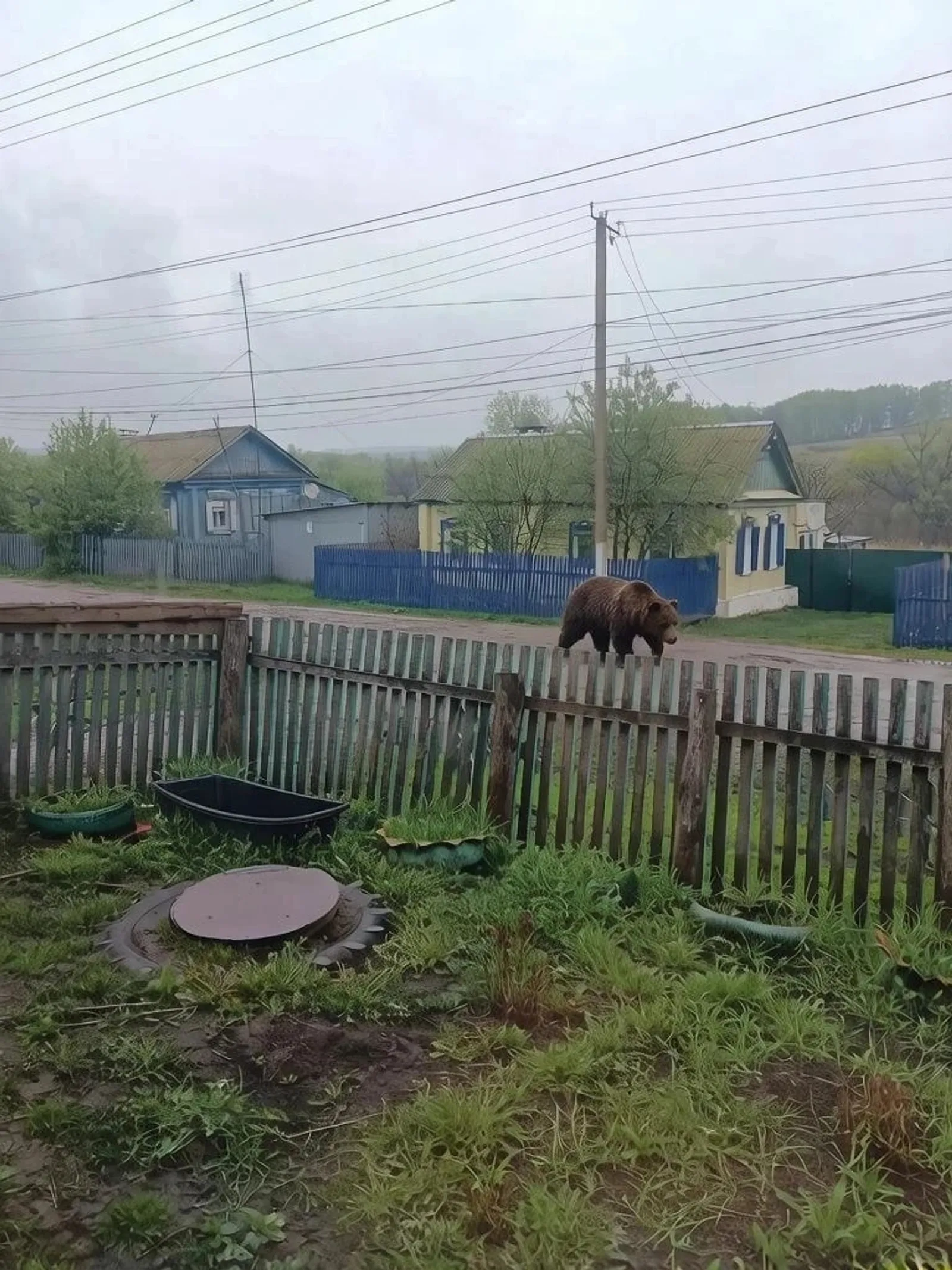 Әллә Молокан, әллә... баш ҡатҡан