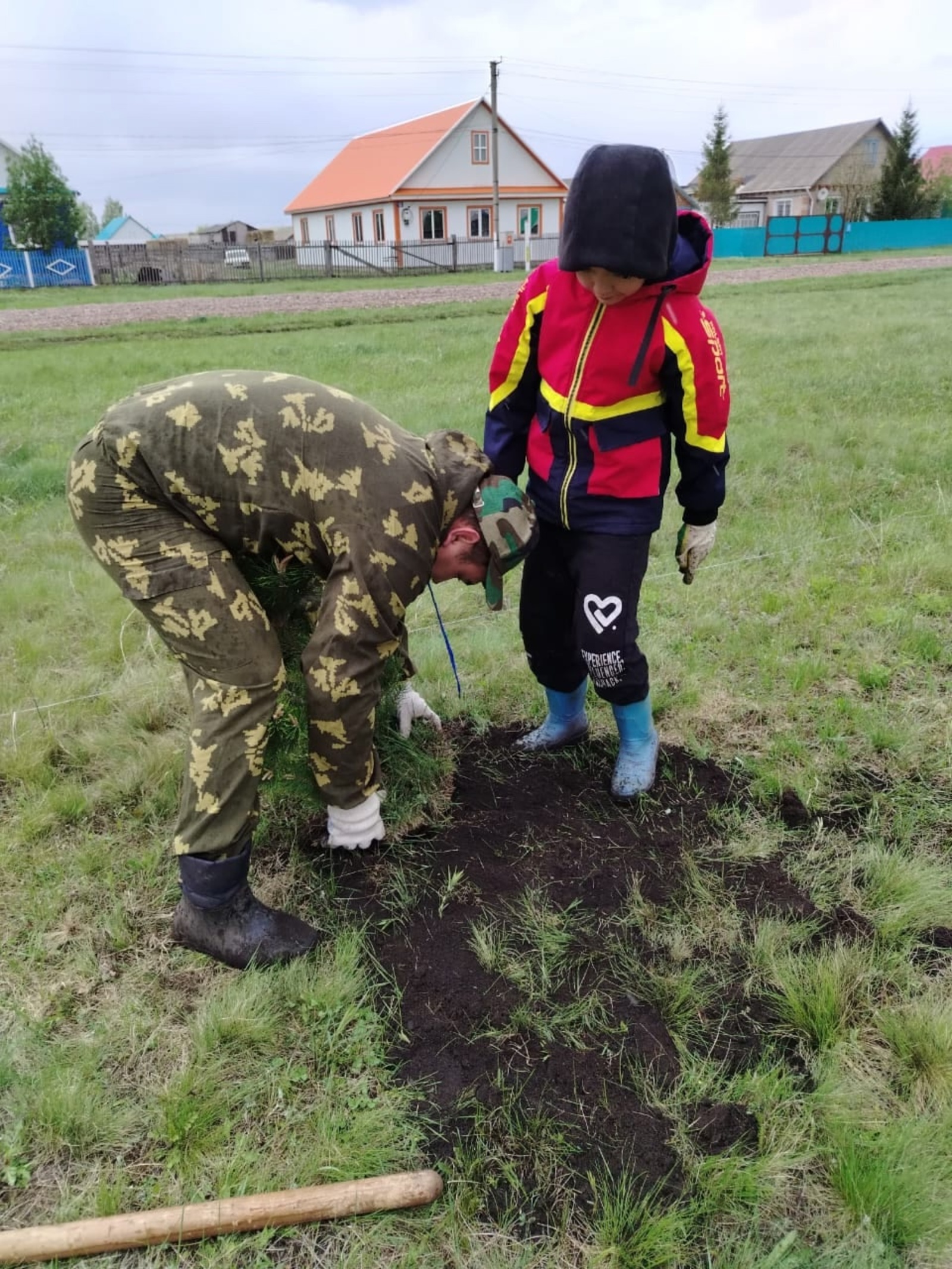 Шаулап үҫһендәр