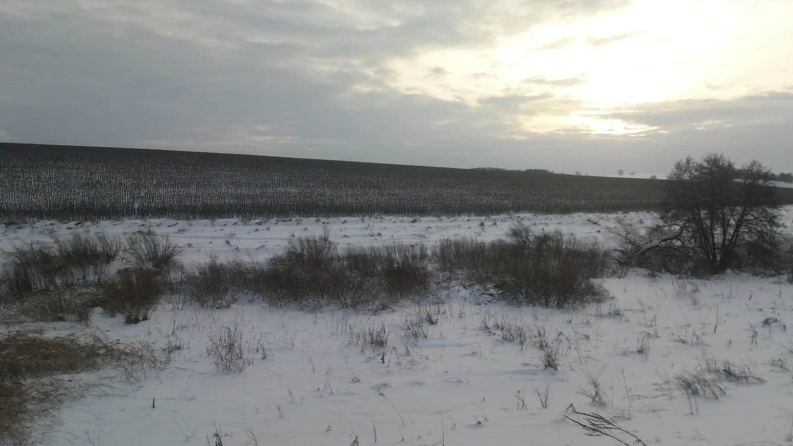 Стало известно, какая будет погода в Башкирии в сентябре