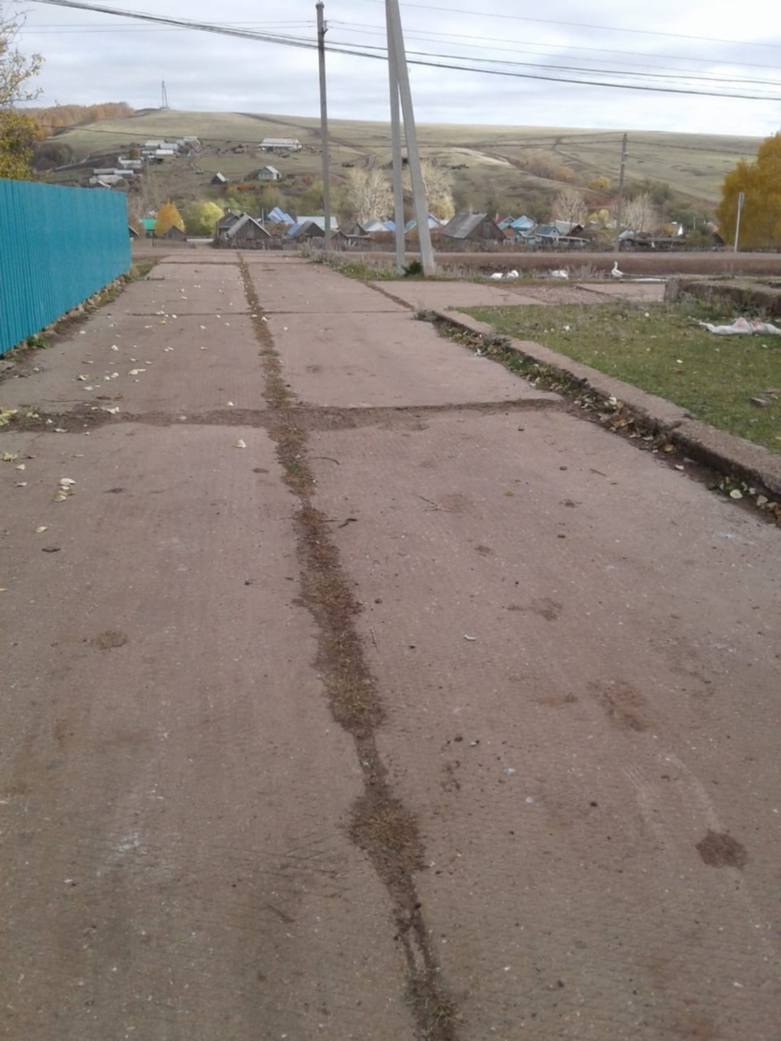 Зәк-Ишмәттә алмағастар нисә йыл йәшәй?