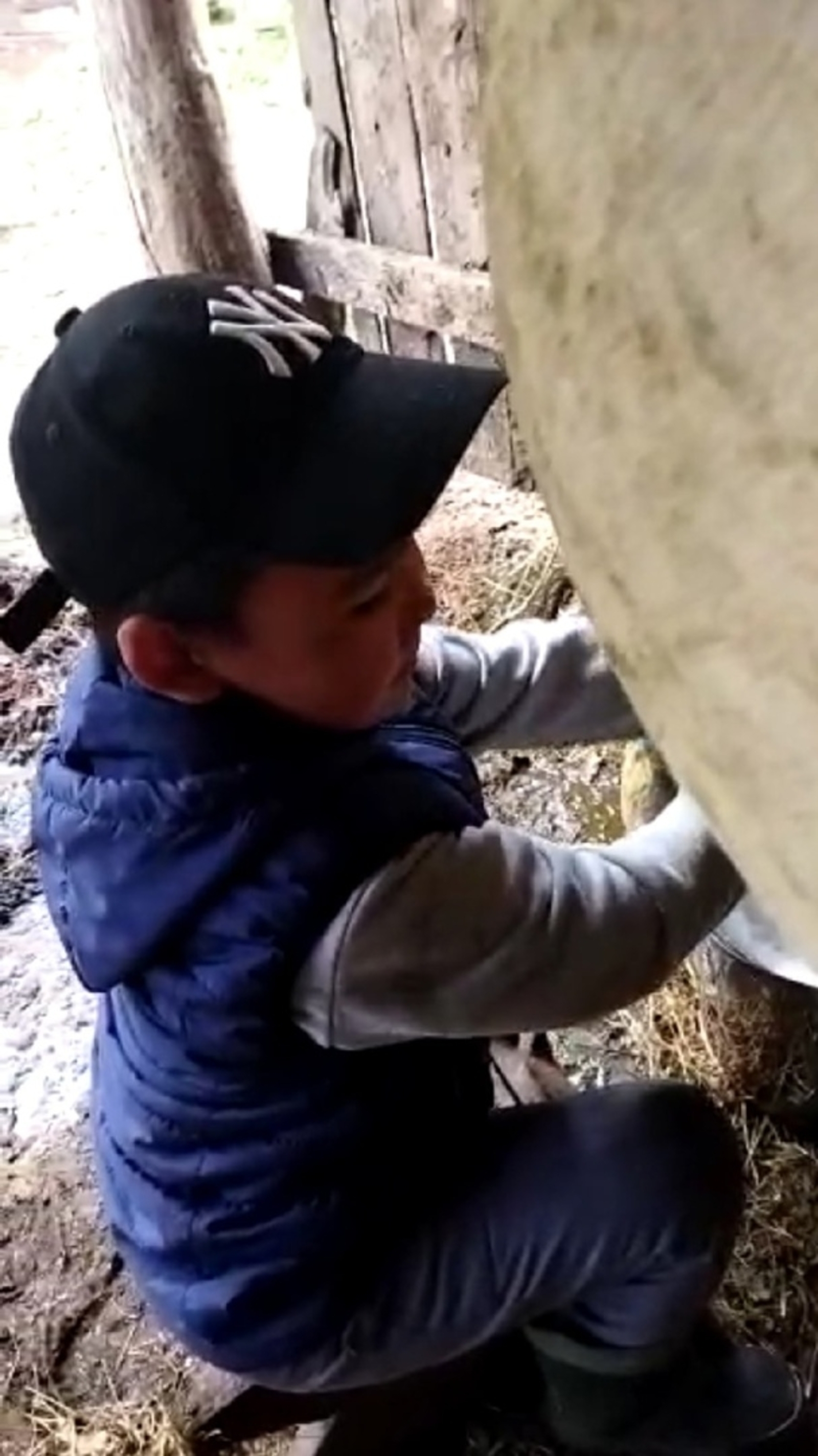 “Тиҙ генә өйрәндем”