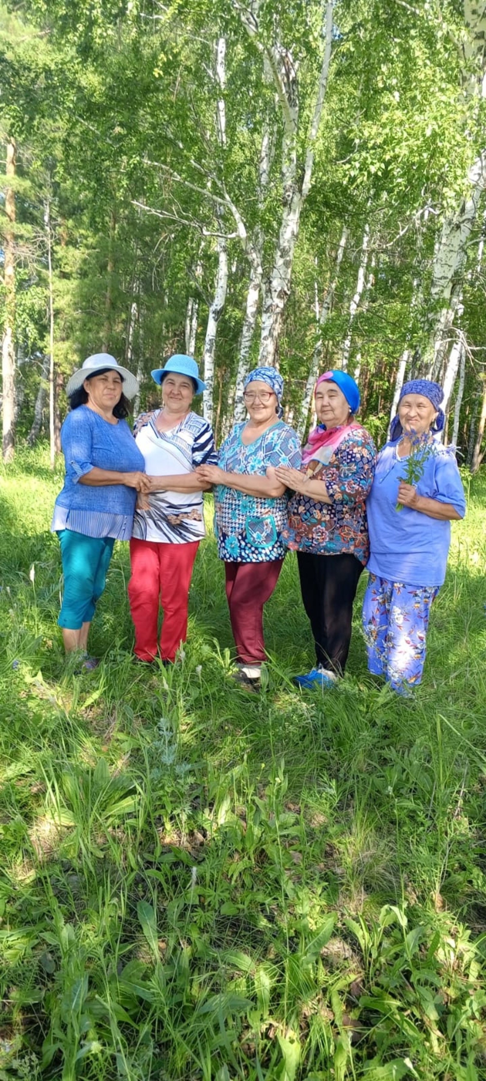 Шифалы үләндәр күргәҙмәһе