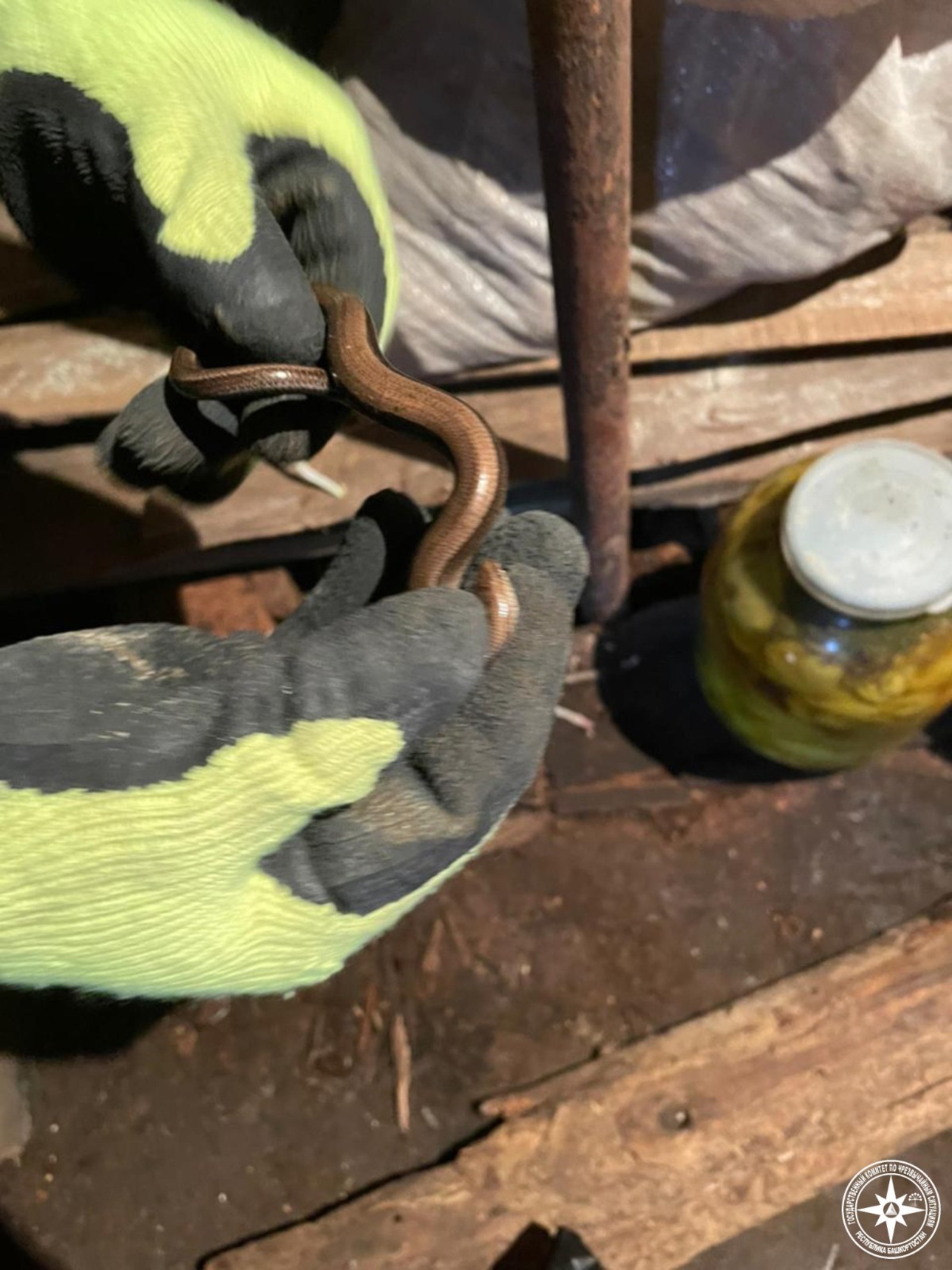 В Кумертау спасатели извлекли змею из погреба в гараже