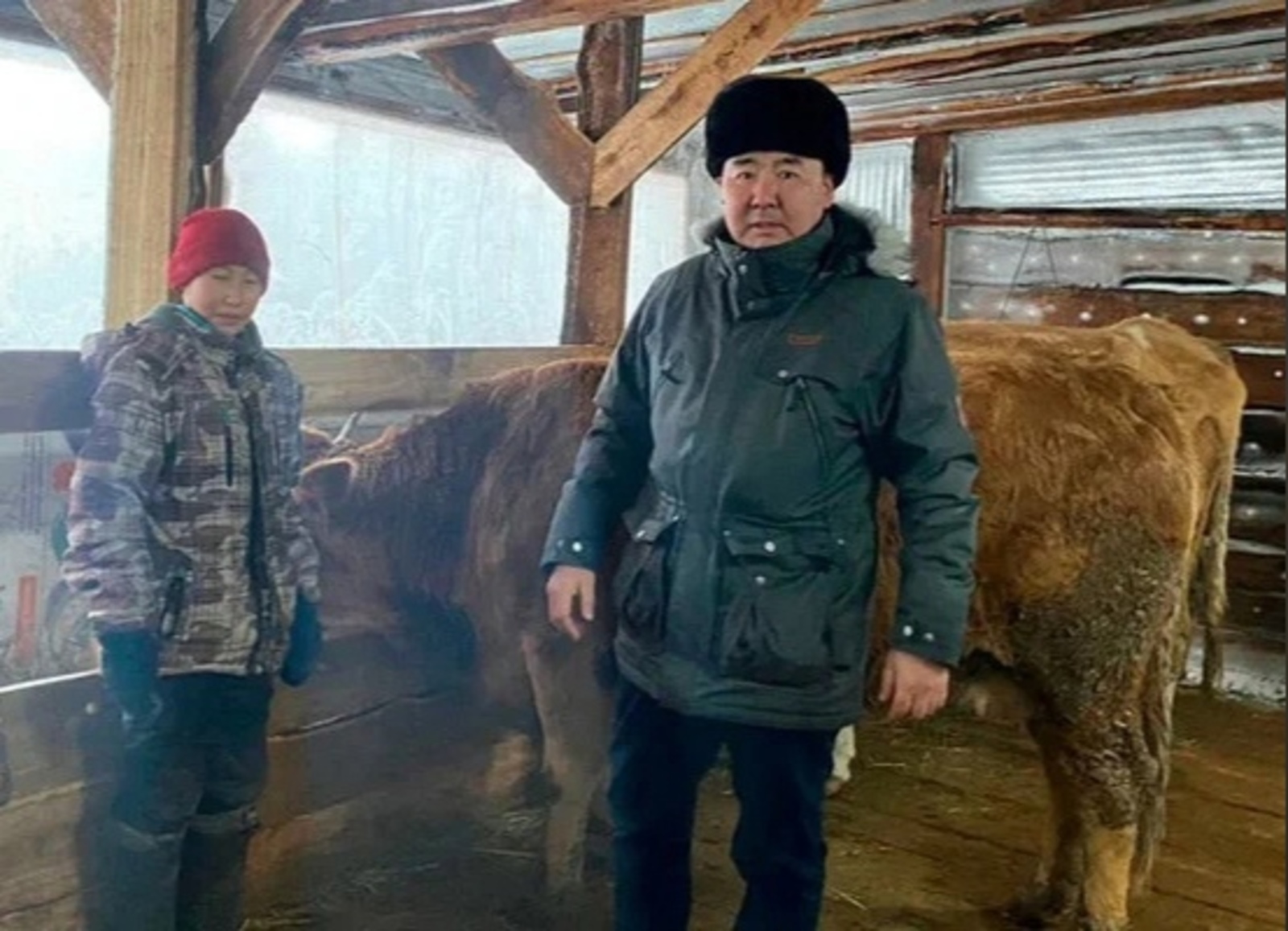 Обратившемуся к Путину подростку подарили корову