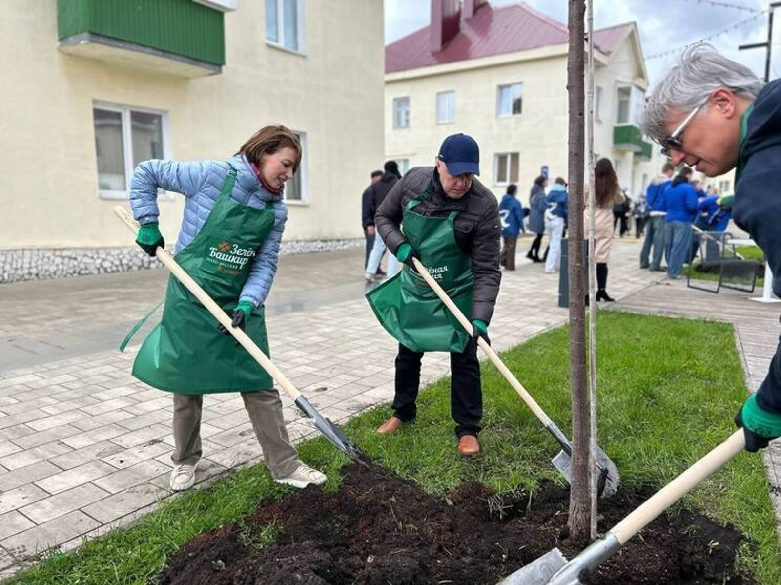 В Кумертау на двух улицах посадили липы и тополя