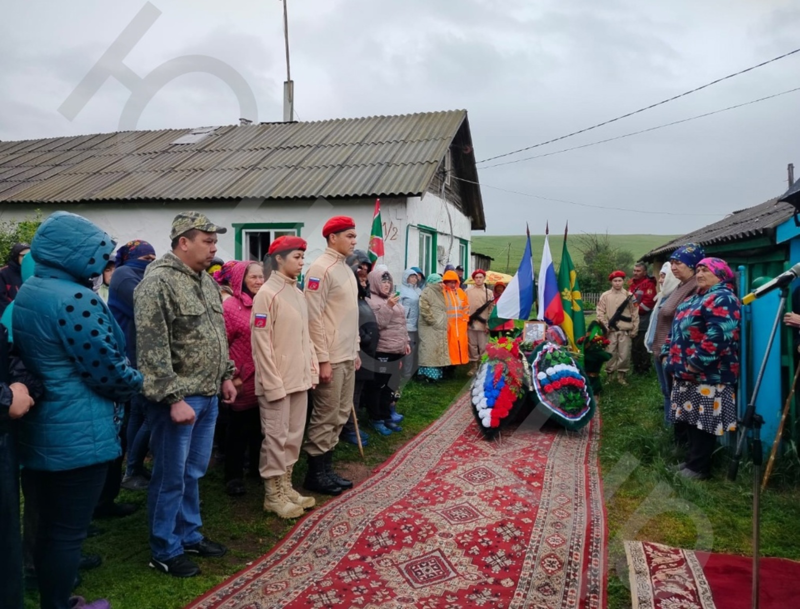 Тимербай күген ҡара болот ҡапланы