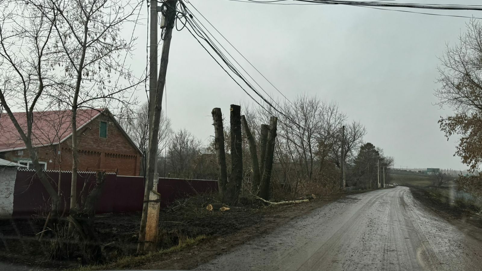 Венера апайҙың үтенесе үтәлде