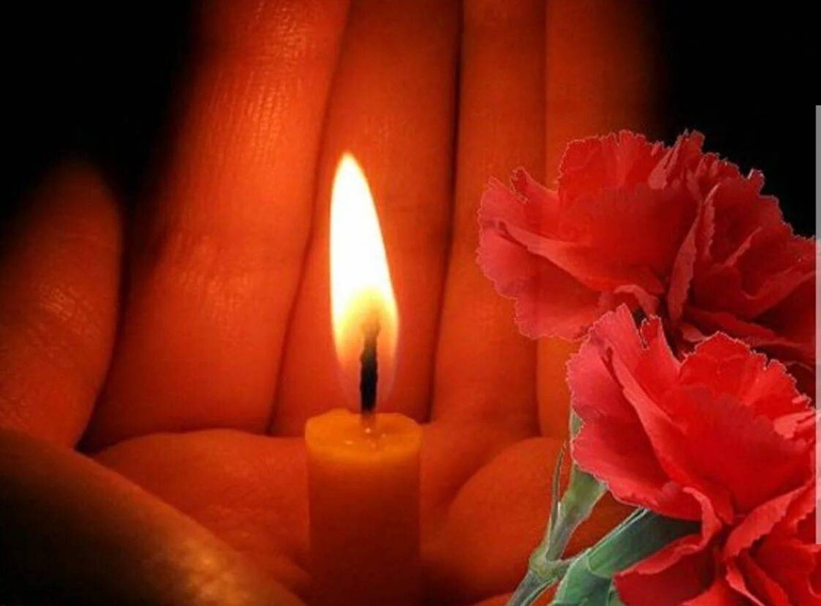 Моңһоу ҡараш менән оҙаттыҡ