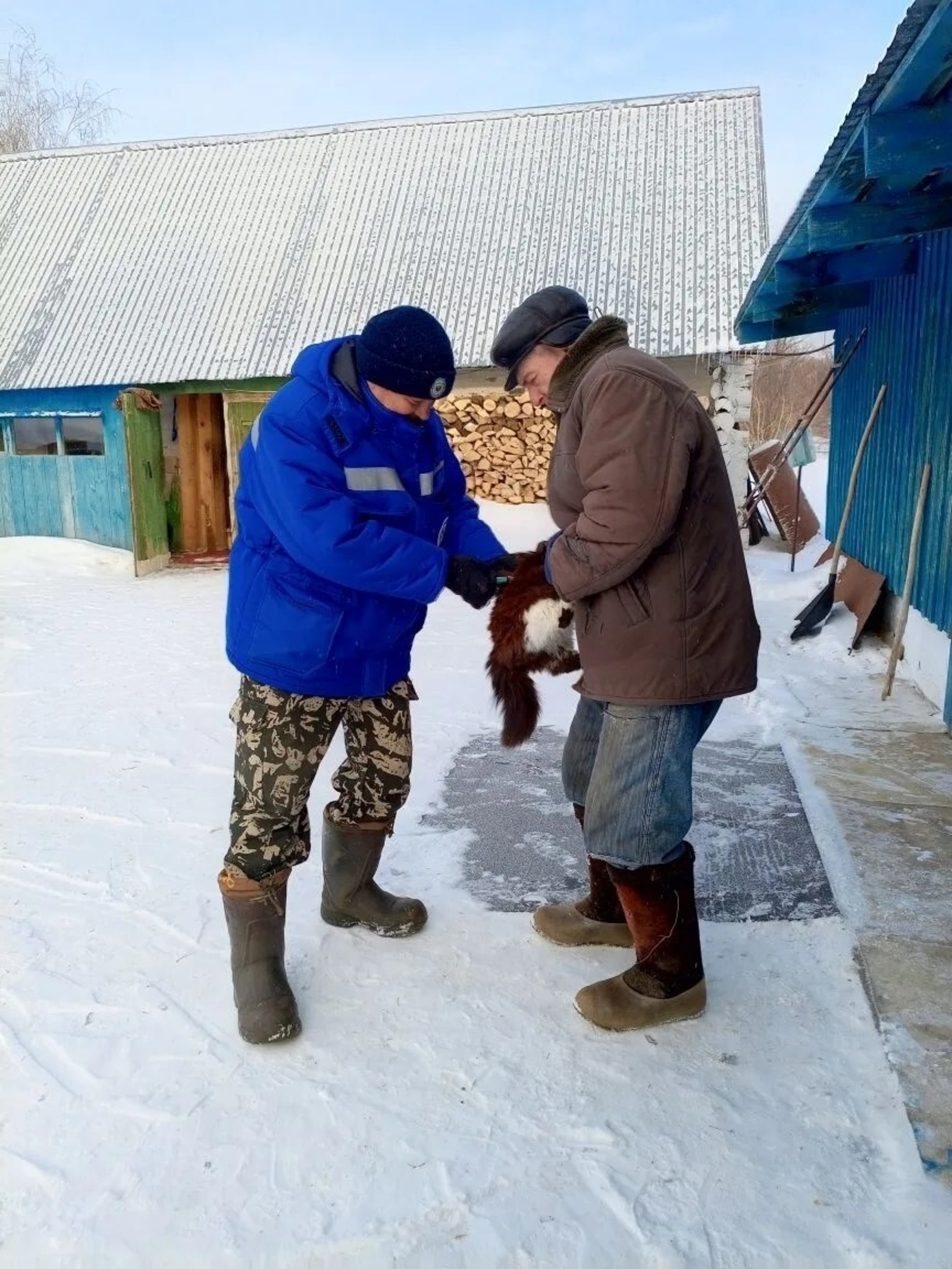 Ҡотороу сиренән дауа юҡ