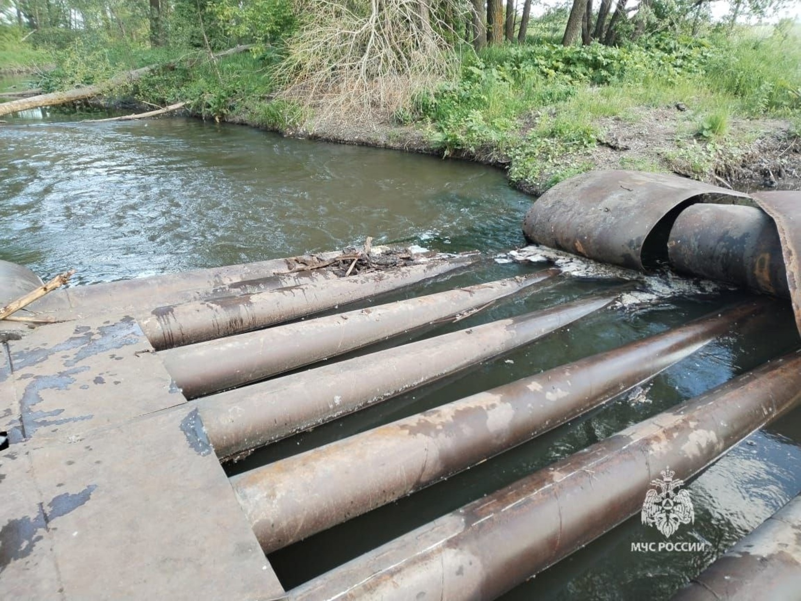 Родители, бабушки, дедушки, прошу следить в оба глаза за детьми