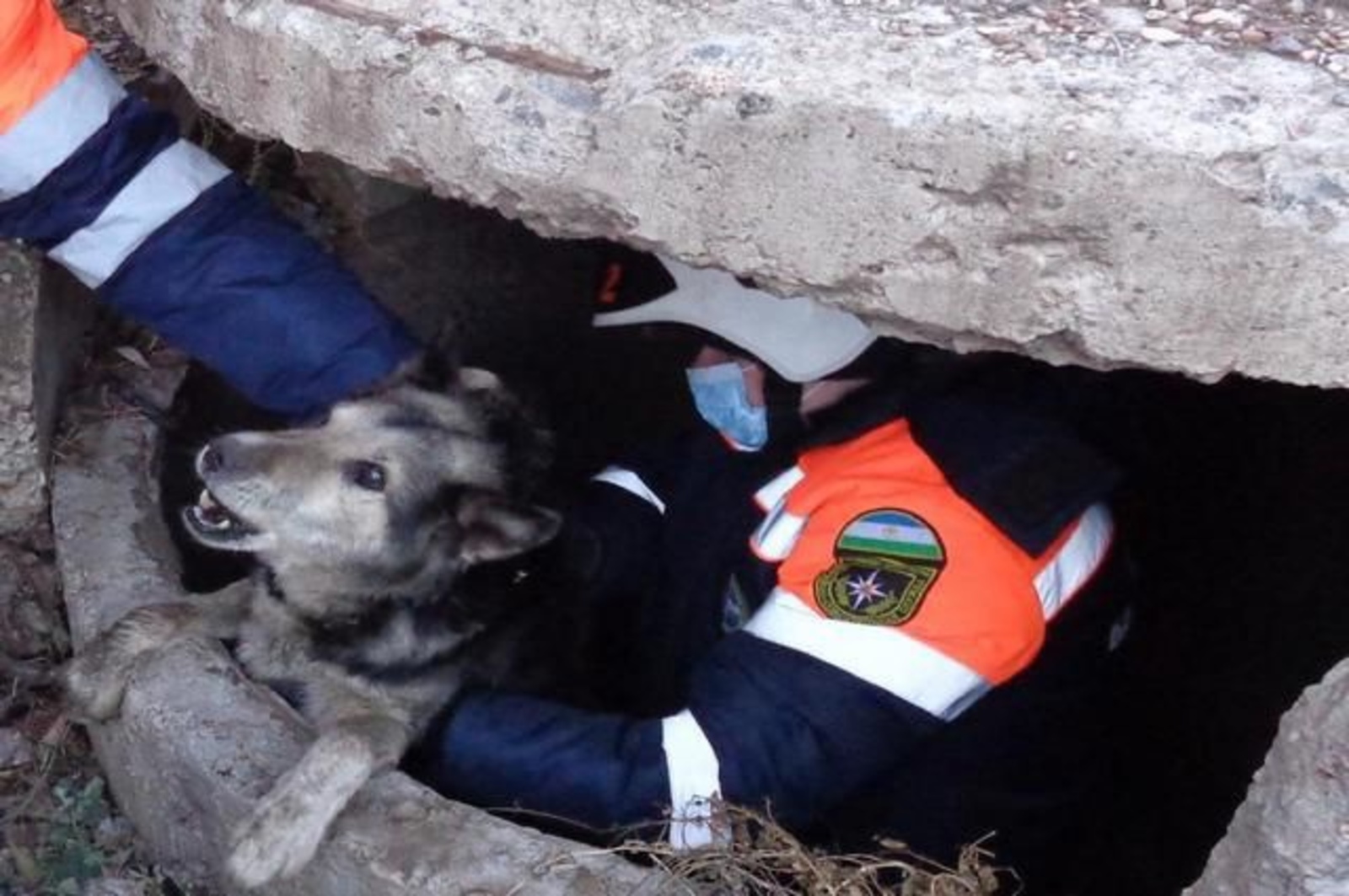 Спасатели Кумертау помогли собаке