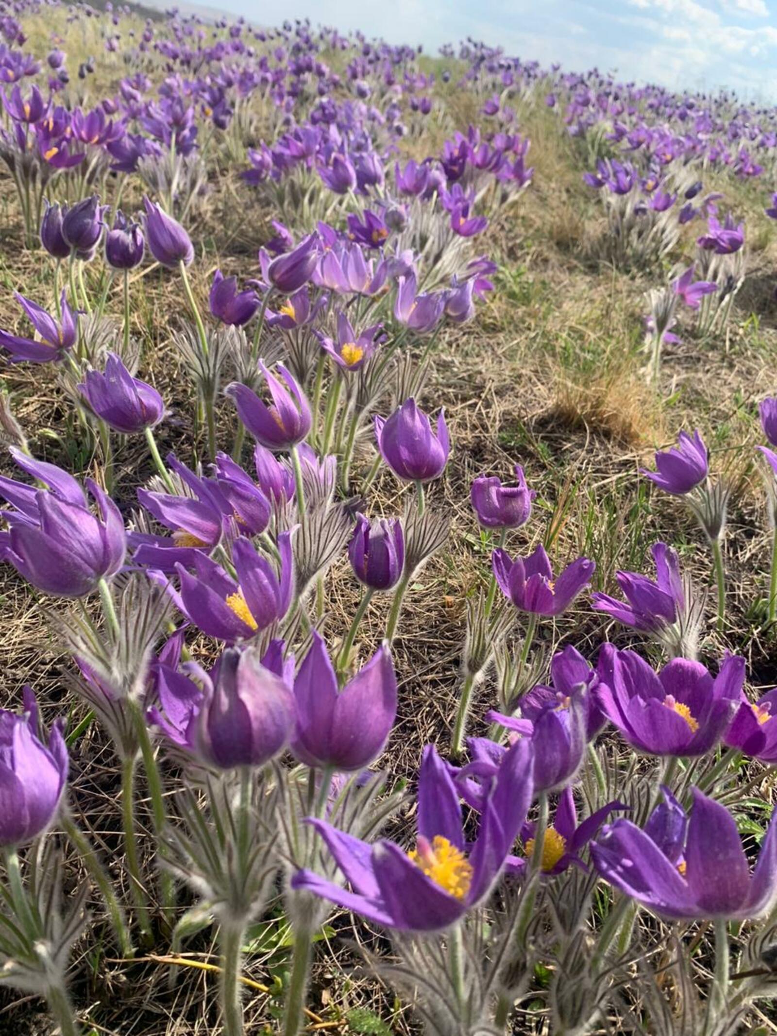 Погода на майские праздники в Башкирии не порадует